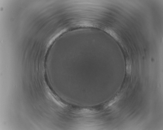 X0000060790390200511241850