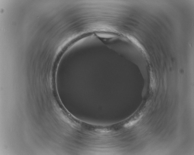 X0000060790391200511241850