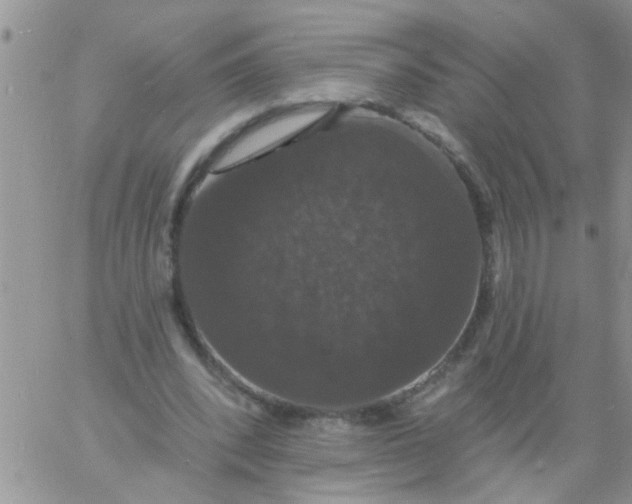 X0000060790392200511241850