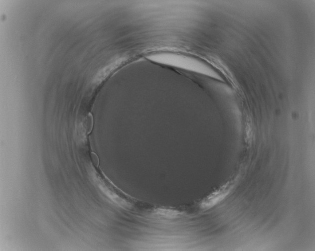 X0000060790393200511241850