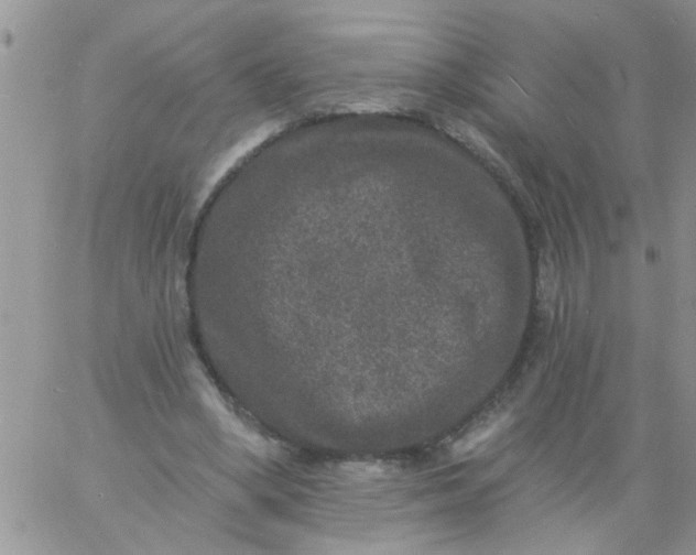 X0000060790394200511241850