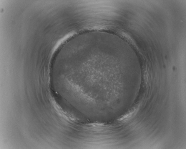 X0000060790395200511241850