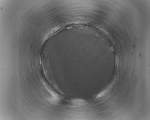 X0000060790397200511241850