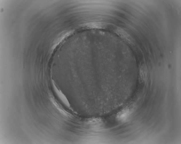 X0000060790398200511241850