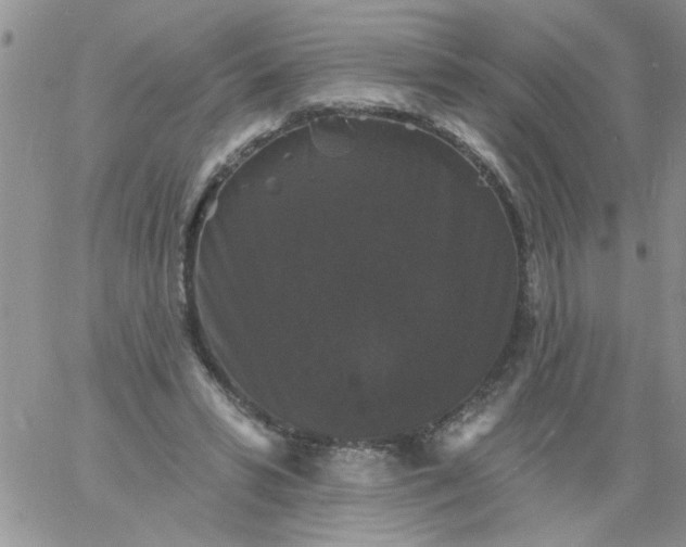 X0000060790399200511241850