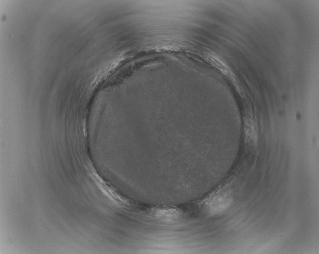 X0000060790401200511241850