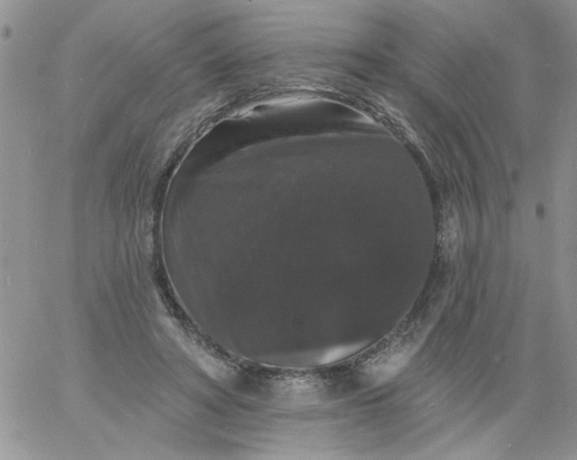 X0000060790402200511241850