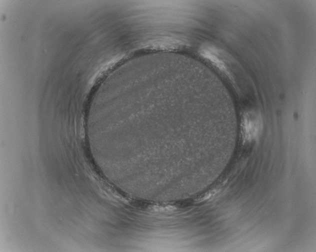 X0000060790403200511241850