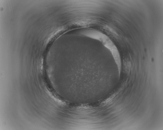 X0000060790404200511241850