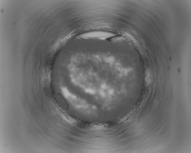 X0000060790405200511241850