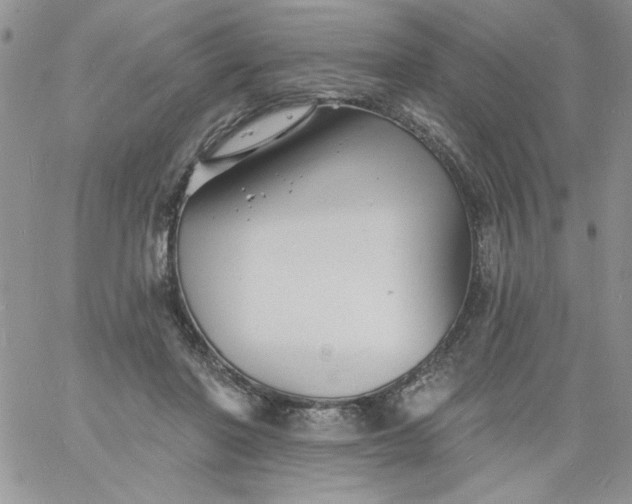 X0000060790406200511241850