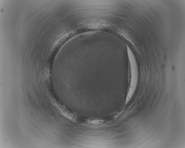 X0000060790407200511241850