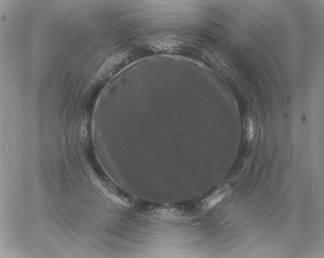 X0000060790408200511241850