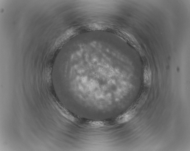 X0000060790409200511241850