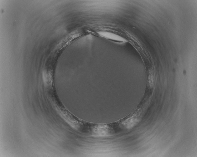 X0000060790410200511241850