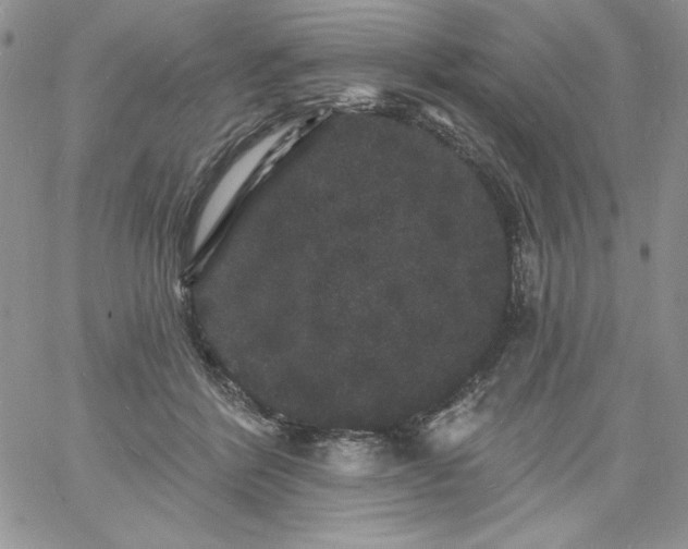 X0000060790412200511241850