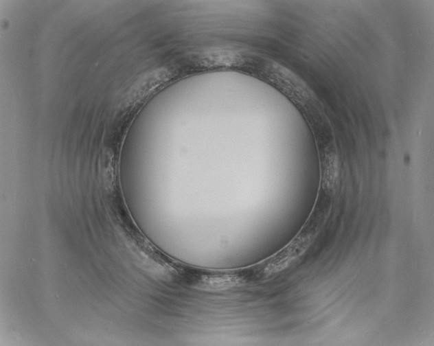 X0000060790414200511241850