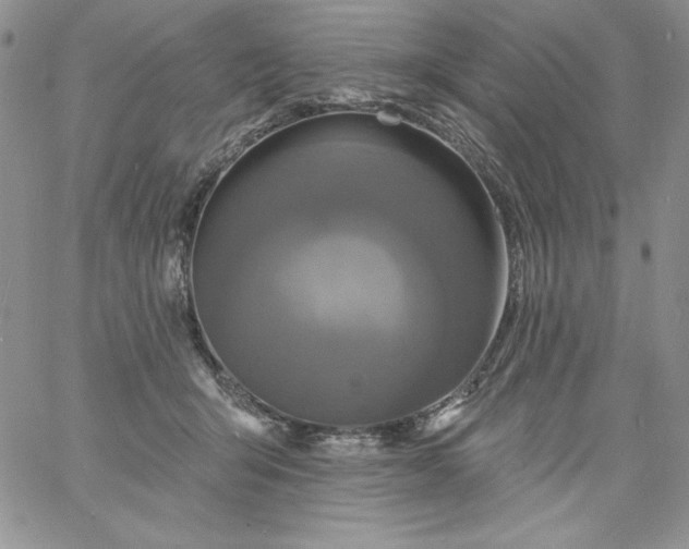 X0000060790415200511241850