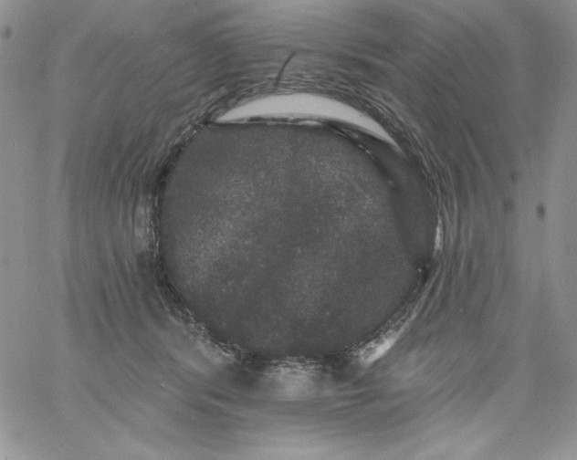 X0000060790416200511241850