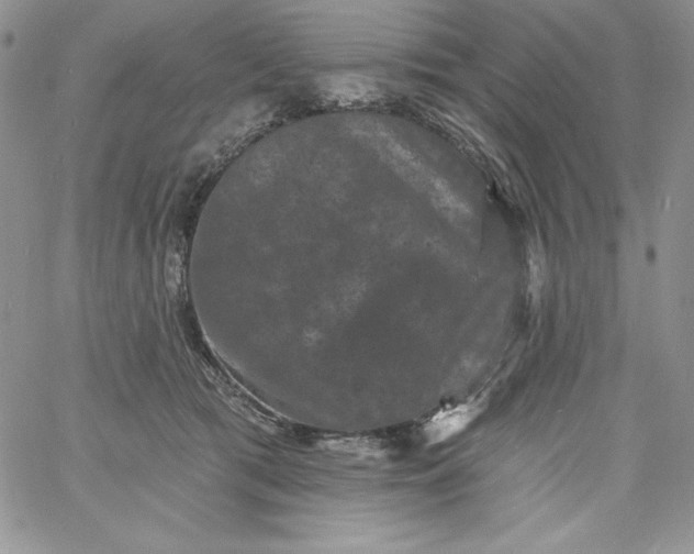 X0000060790417200511241850