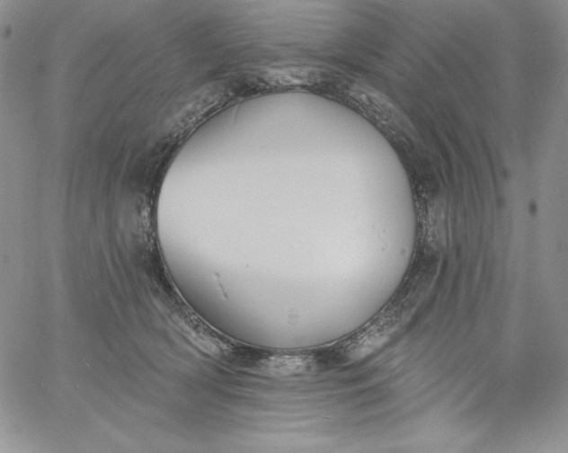 X0000060790418200511241850