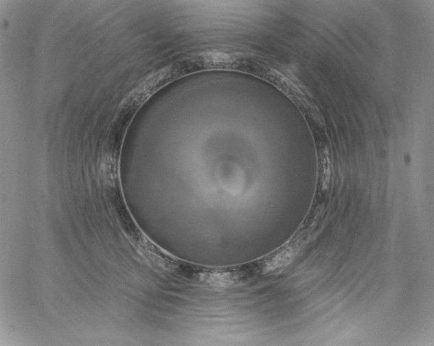 X0000060790419200511241850