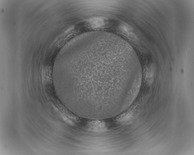 X0000060790421200511241850