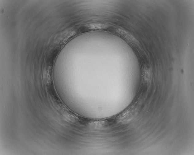 X0000060790422200511241850