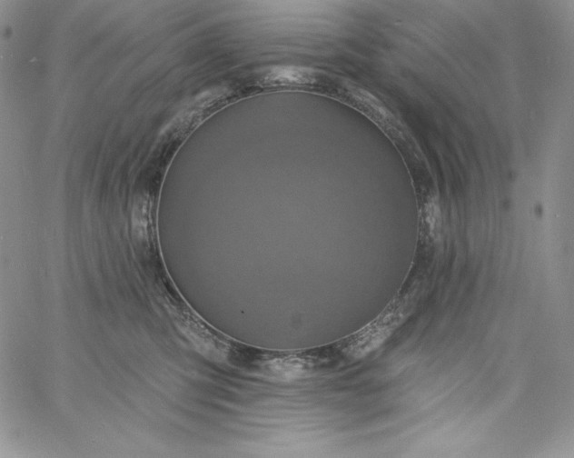 X0000060790423200511241850