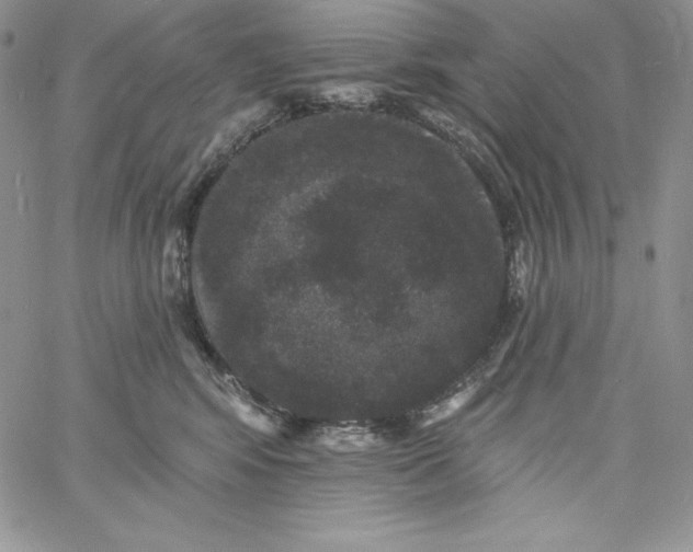 X0000060790424200511241850