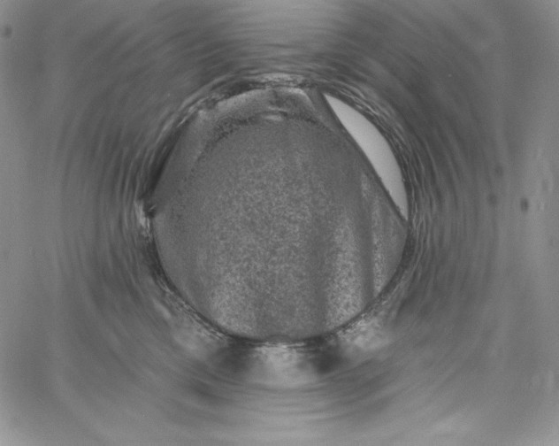 X0000060790425200511241850