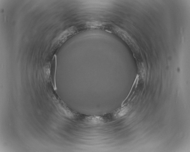 X0000060790427200511241850