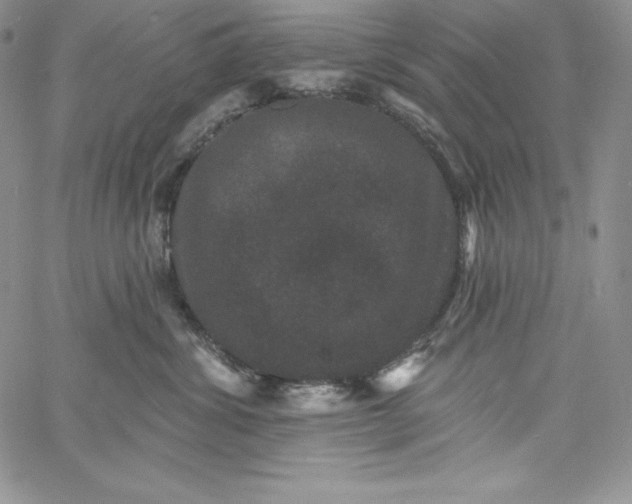 X0000060790428200511241849