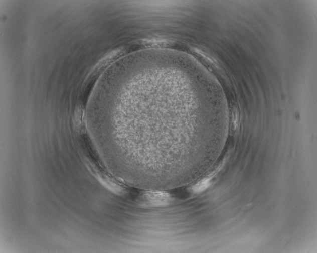 X0000060790429200511241849