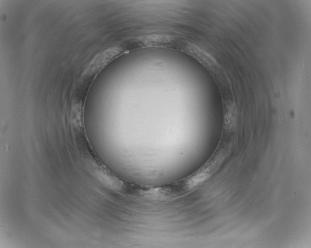 X0000060790430200511241849