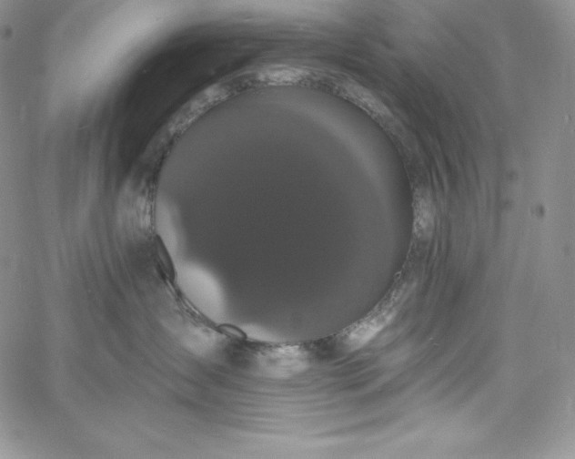 X0000060790431200511241849