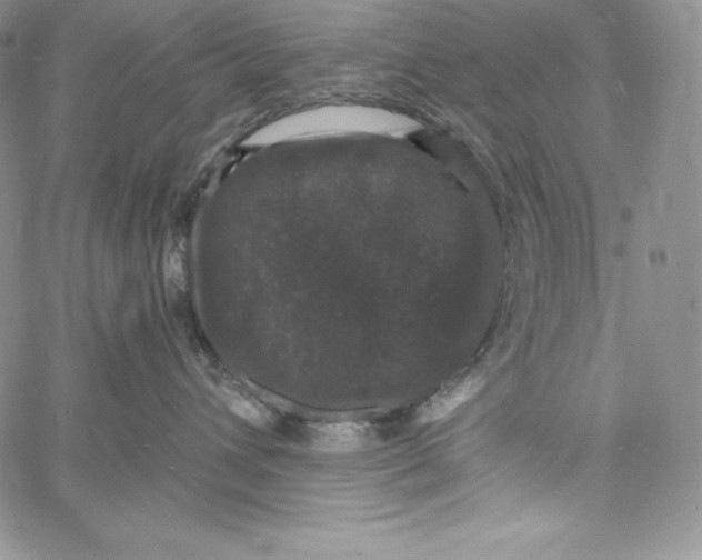 X0000060790432200511241849