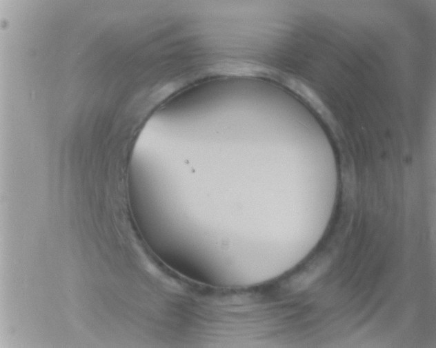 X0000060790433200511241849