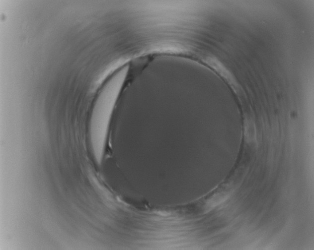 X0000060790434200511241849