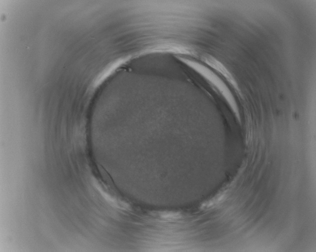 X0000060790436200511241849