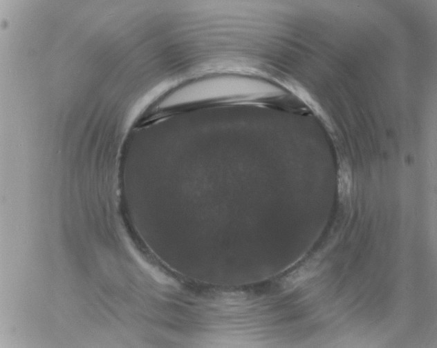 X0000060790438200511241849