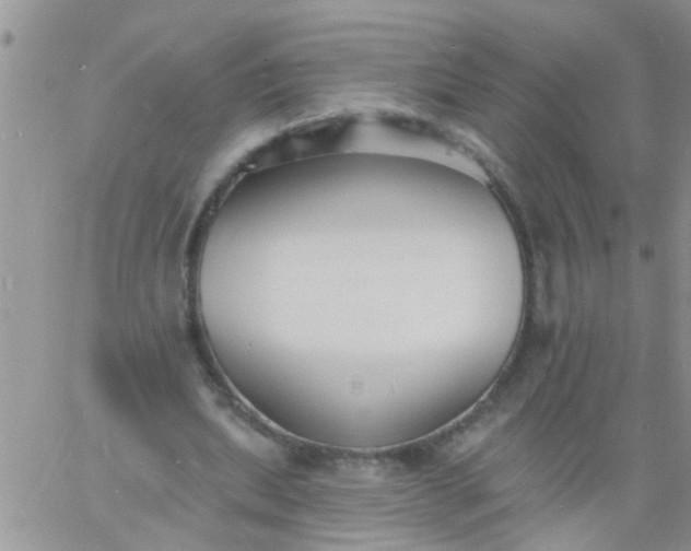 X0000060790439200511241849