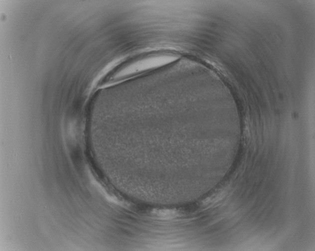 X0000060790440200511241849