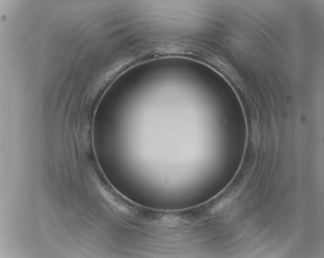 X0000060790441200511241849