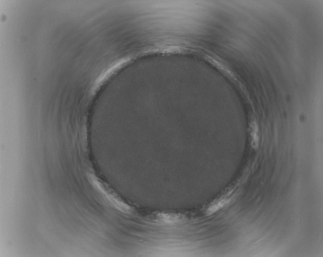 X0000060790442200511241849