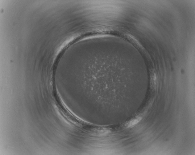 X0000060790443200511241849