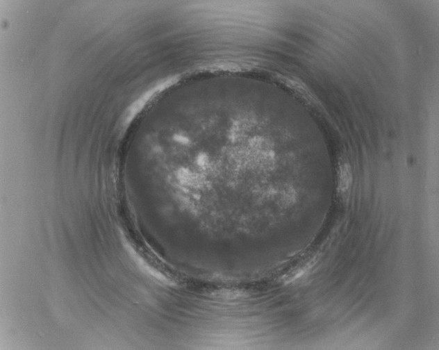 X0000060790444200511241849