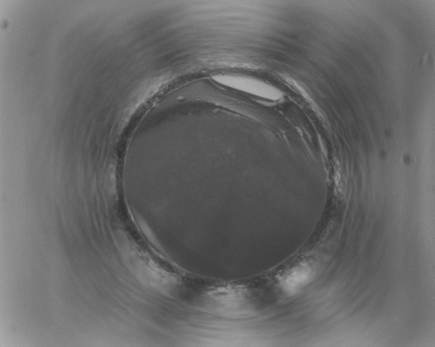 X0000060790447200511241849