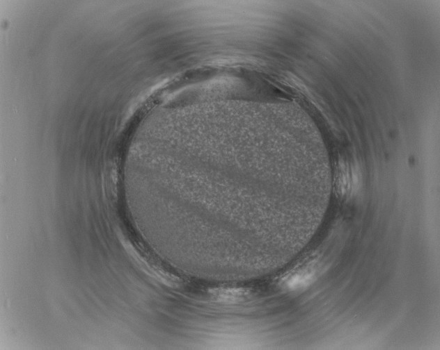 X0000060790448200511241849