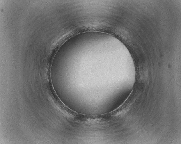 X0000060790450200511241849